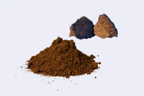 Chaga Mushroom Extract Powder Supports Innovative Formulations in Functional Beverage and Nutrition Markets
